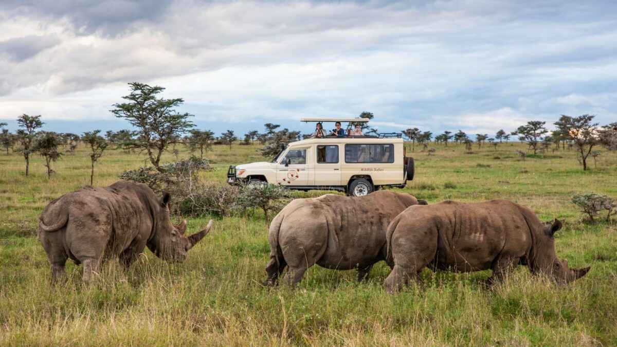 Luxury Kenya