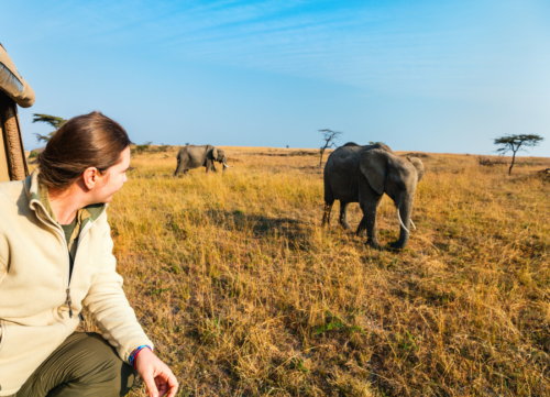 Tanzania Big Five Safari
